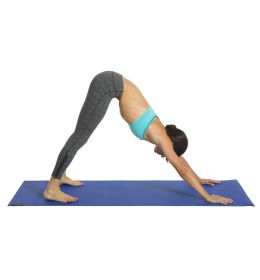 GOFIT YOGA MAT 
