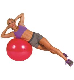 GOFIT STABILITY BALL - PRO -65CM